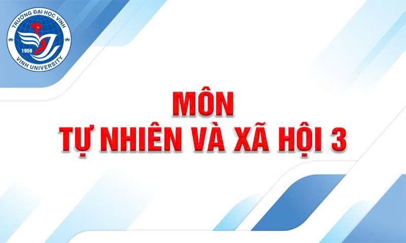 Phát triển Năng lực số cho học sinh - Môn Tự nhiên và Xã hội 3 MOET-MNL456-KHTN1