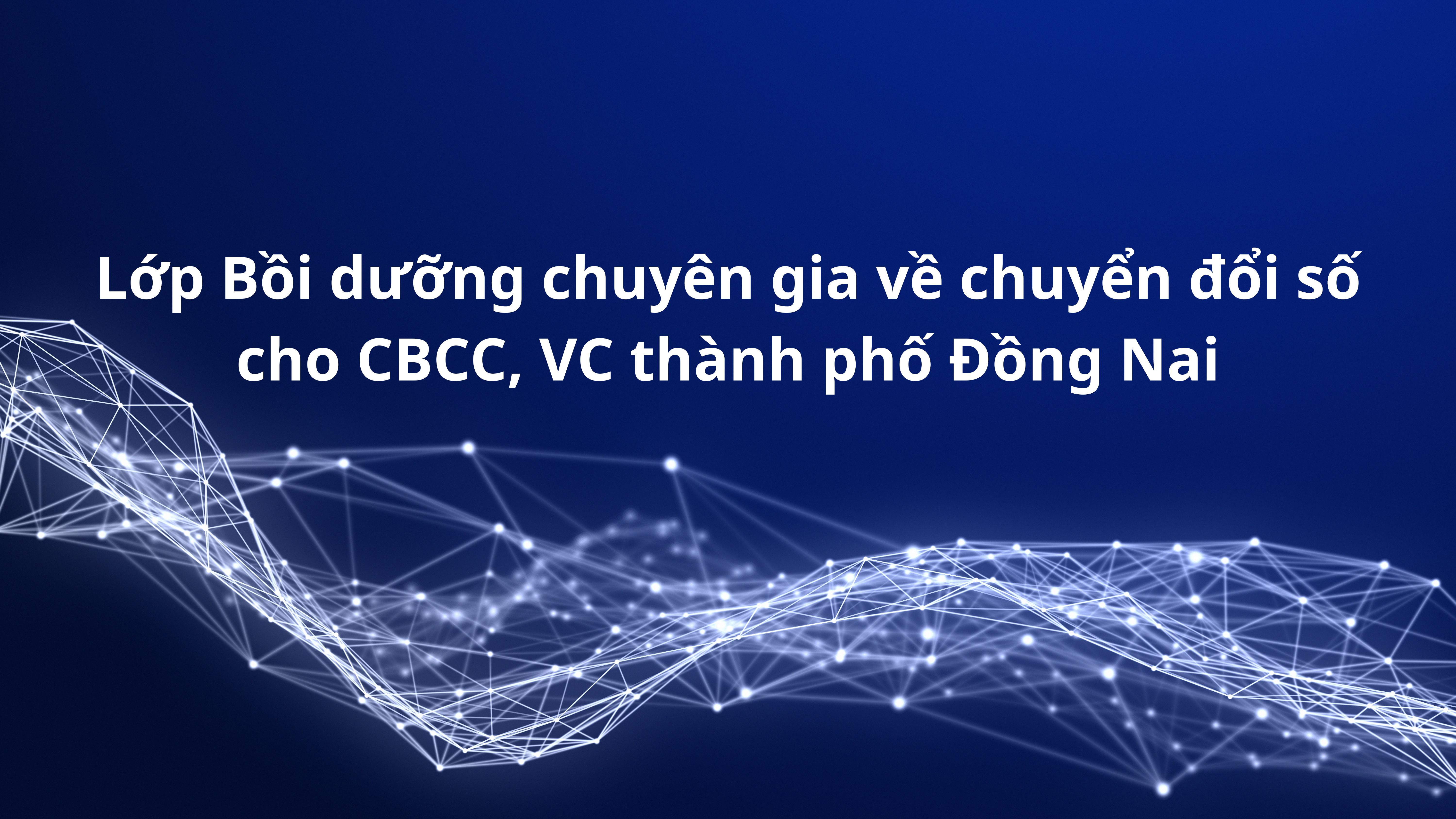 Lớp Bồi dưỡng chuyên gia về chuyển đổi số cho CBCC, VC thành phố Đồng Nai KNSND-01